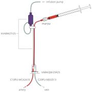 Mouse continuous infusion with blood sampling