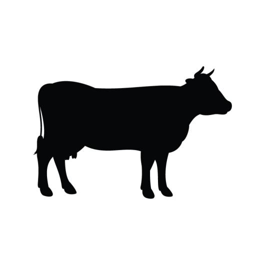 Animal-vector-cow