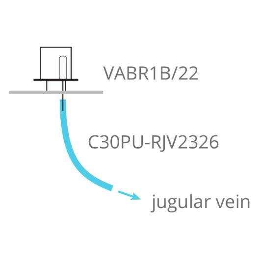 iv-rat-bolus-setup
