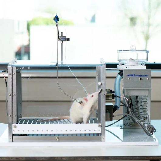 rat_self_administration2