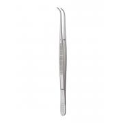 Taylor forceps - smooth