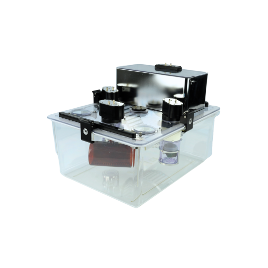 Type 4 cage for metabolic studies with obese rats