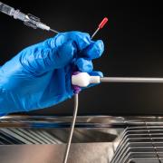 Rat intermittent infusion and blood sampling