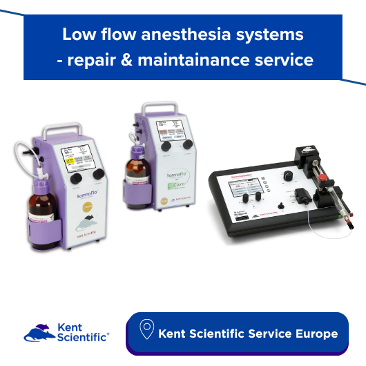 Anesthesia lof-flow service