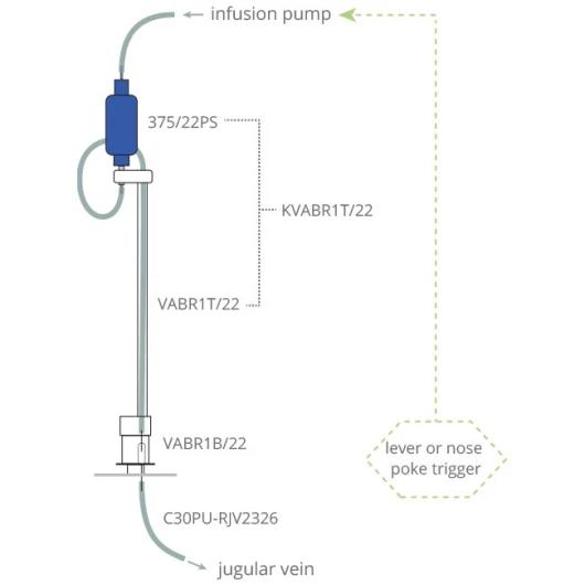 rat_self_administration_scheme