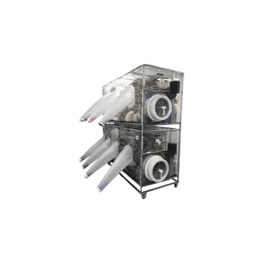 Type-3-D-M100-2