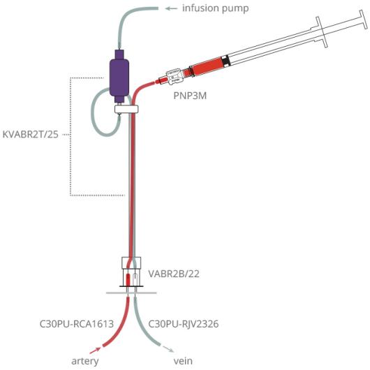 rat_continuous_infusion_plus_blood_sampling