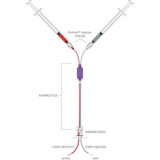bs_iv_intermittent_rat_scheme