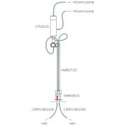 Rat two-channel infusion