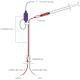 rat_continuous_infusion_plus_blood_sampling