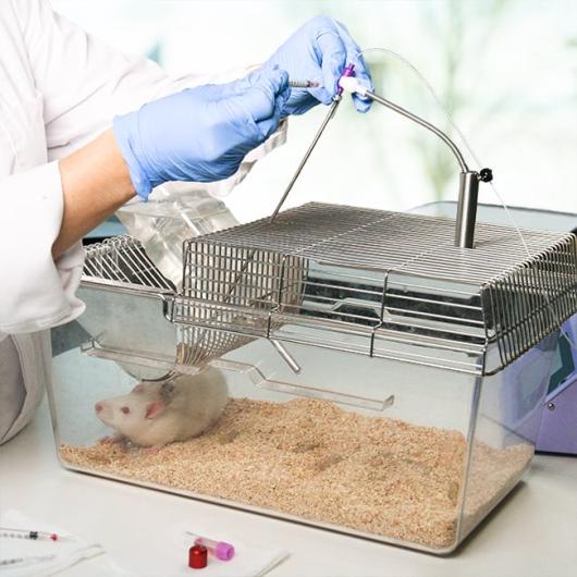 rat-infufions-and-blood-sampling