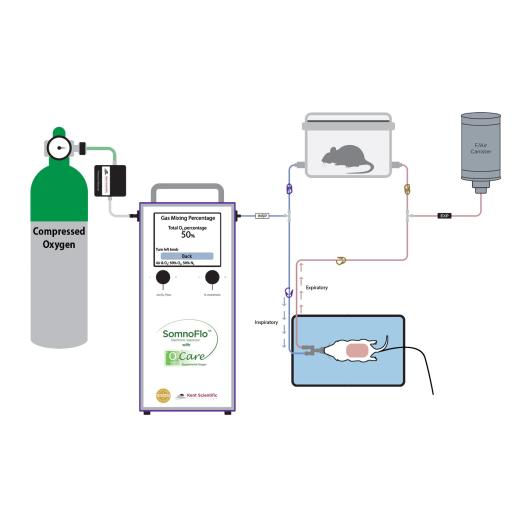 SomnoFlo_connection_Diagram