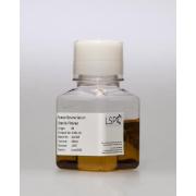Foetal Bovine Serum – Gamma Irradiated – USDA Origin