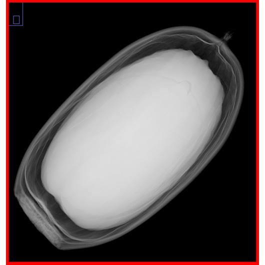 67eaa536408b505f66a5591b_Seed 11 close up