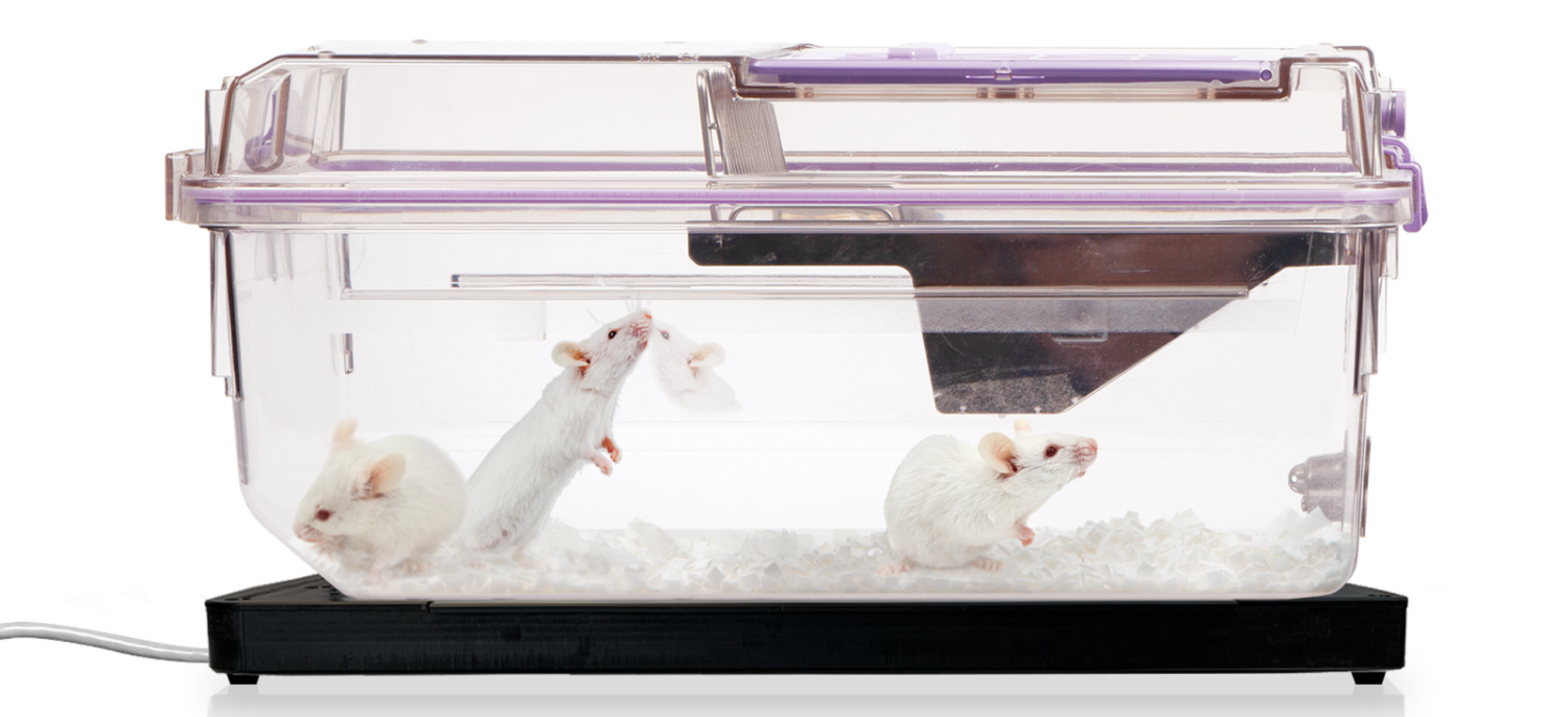 Home-cage monitoring system for mice | Animalab