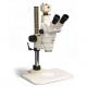 Precision Stereo Zoom Trinocular Microscope (III) on Post Stand