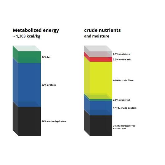 C 1012 Energy deficient diet