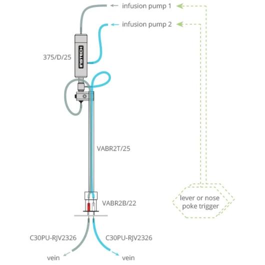 rat_self_administration_two_compounds