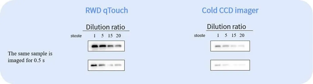 qTouch-Western-Blot-imager-Versatile-exposure-modes.png